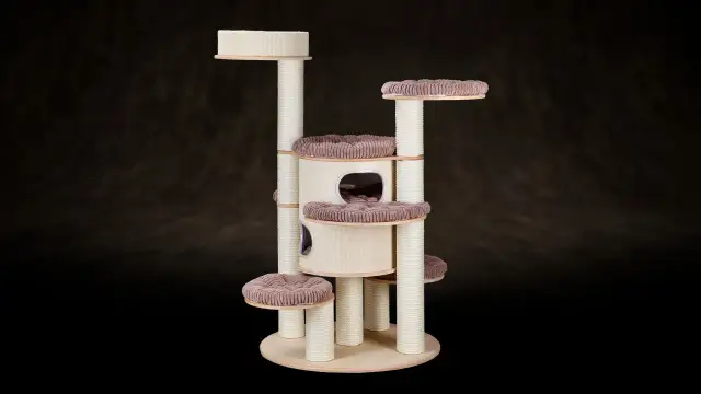 Jak zrobić plac zabaw dla kota, by zapewnić mu radość i bezpieczeństwo