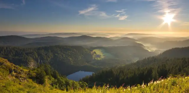 Feldberg: Ihr ultimativer Guide zum höchsten Berg im Schwarzwald