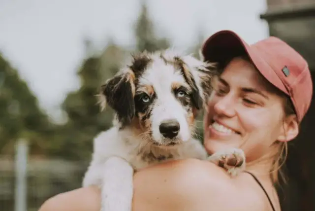 Mam psa i co teraz hotel – sprawdź usługi i ceny w Poznaniu