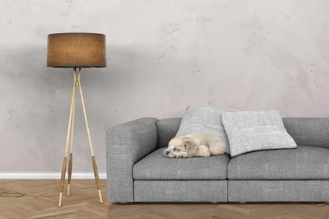 Farba betonowa czy beton dekoracyjny - co wybrać dla swojego wnętrza?