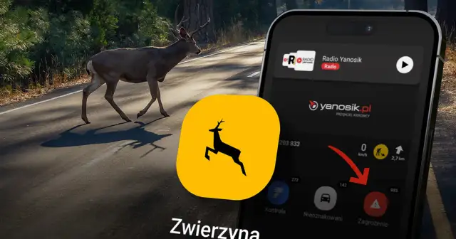 Jak ustawić Yanosika w tle? Aplikacja ostrzega przed zwierzętami na drodze. Ikona ostrzeżenia "Zagrożenie" jest widoczna.