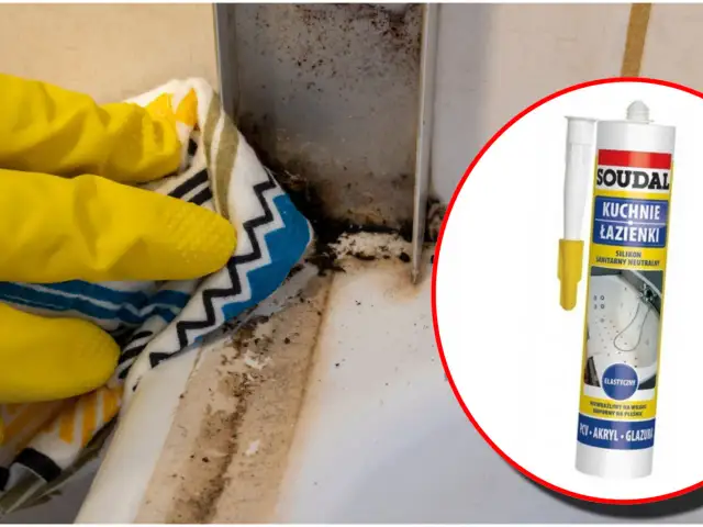 Rękawiczki w żółtych rękawiczkach czyszczą pleśń z narożnika, obok tubka silikonu.