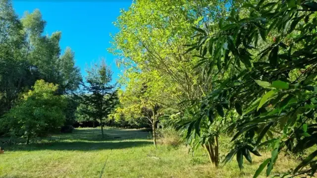 Mam psa i co teraz hotel - wszystko, co musisz wiedzieć o opiece i cenach