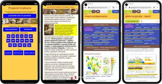 Najlepsza aplikacja gdzie są grzyby - poznaj tajniki zbierania grzybów