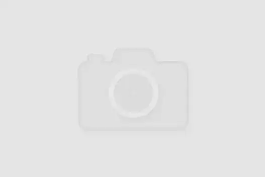 Jak przyrządzić udziec z dzika – przepisy na pyszne dania