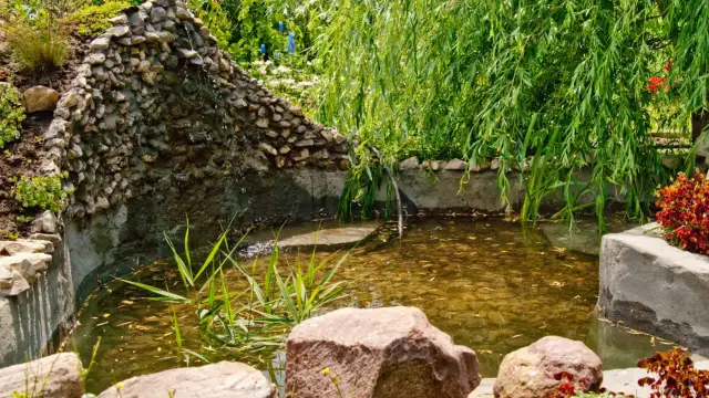 Jak zrobić oczko wodne z betonu - uniknij najczęstszych błędów