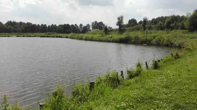 Łowisko Zawada: Idealne miejsce na wędkarską przygodę z rodziną