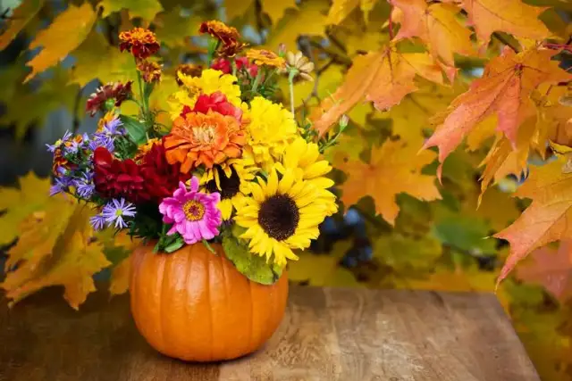 Ozdobne dynie DIY: Jak stworzyć piękne dekoracje na jesień