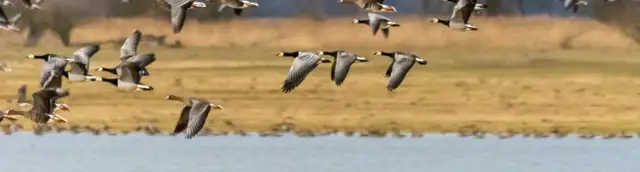 Jaki jest symbol parku narodowego Ujście Warty i jego znaczenie?