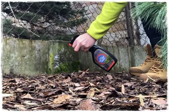 Skuteczne sposoby na usunięcie mchu z płotu betonowego w prostych krokach