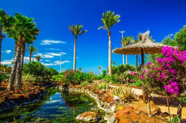 Ile trwa lot na Lanzarote z Katowic? Sprawdź czas przelotu!