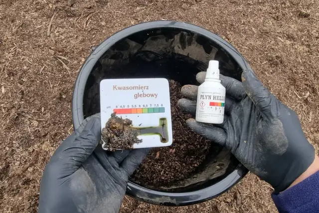 Jak odkwasic glebę? Szybki poradnik pH dla ogrodu
