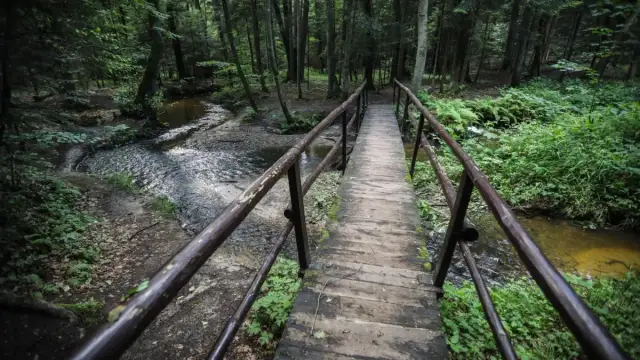 Rezerwaty przyrody Świętokrzyskie – Odkryj ich piękno i tajemnice