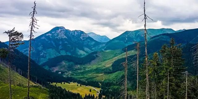 Czas przejścia Doliny Chochołowskiej: wszystko co musisz wiedzieć [2024]