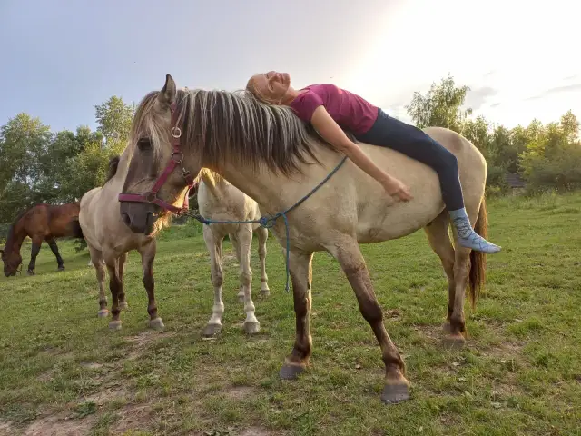 Jak oswoić konia? Poradnik: Zbuduj zaufanie i unikaj błędów
