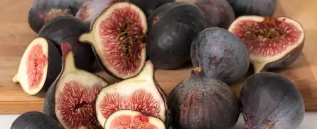 Czy pies może jeść figi? Dowiedz się, co musisz wiedzieć o ich zdrowiu