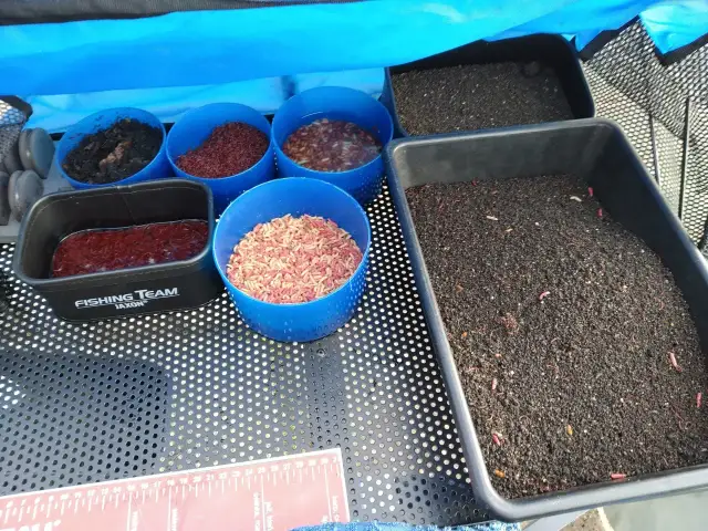 Zanęta Sonubaits - odkryj skuteczne mieszanki dla lepszego połowu