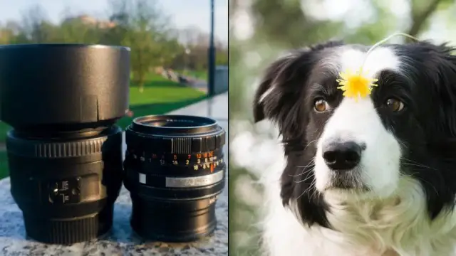 Obiektyw stałoogniskowy 35 czy 50 - który wybór zmieni Twoje zdjęcia?