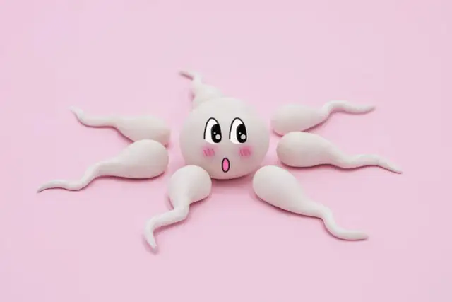 Czy plemniki przechodzą przez ubranie? Prawda o ryzyku ciąży