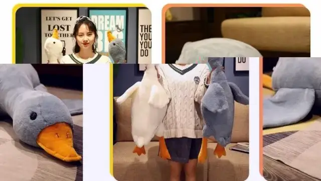 Ile kosztuje pluszowa gęś? Ceny, które mogą Cię zaskoczyć