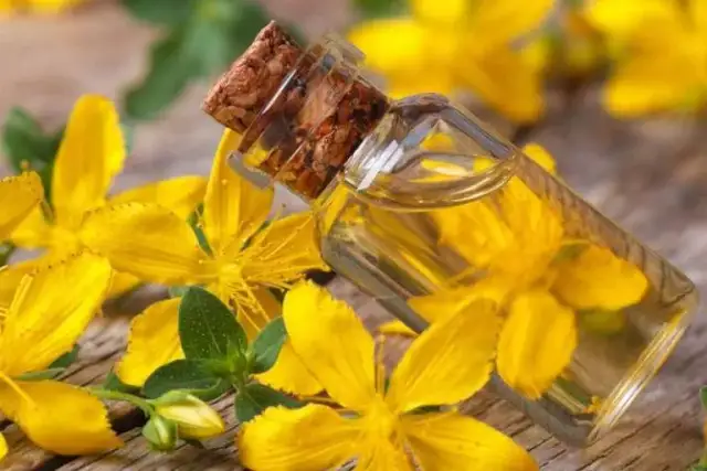 Olejek z dziurawca na co? Odkryj jego niezwykłe właściwości zdrowotne