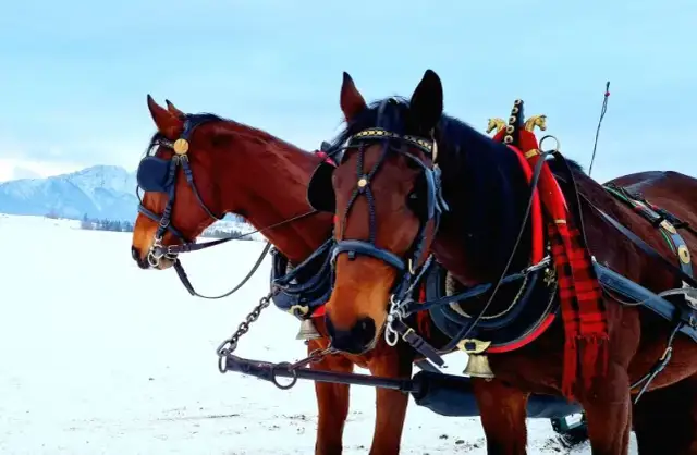 Kościelisko atrakcje zimą – odkryj najlepsze miejsca na zimowy wypoczynek