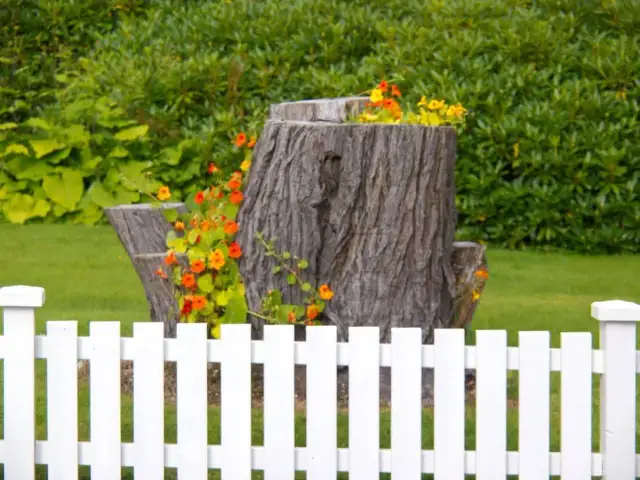 Jak zrobić kwietnik z pnia drzewa: prosty poradnik krok po kroku + porady