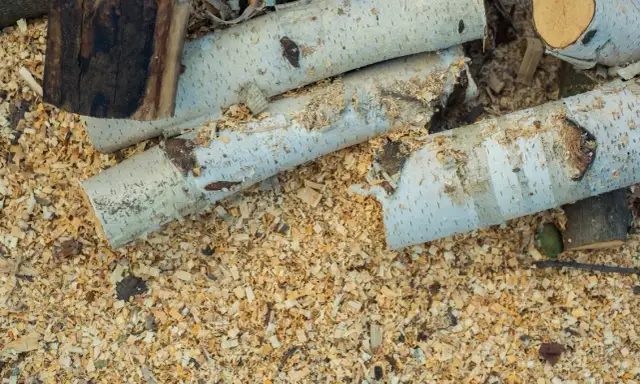 Czy trociny nadają się na kompost? Poznaj ich właściwości i zastosowanie