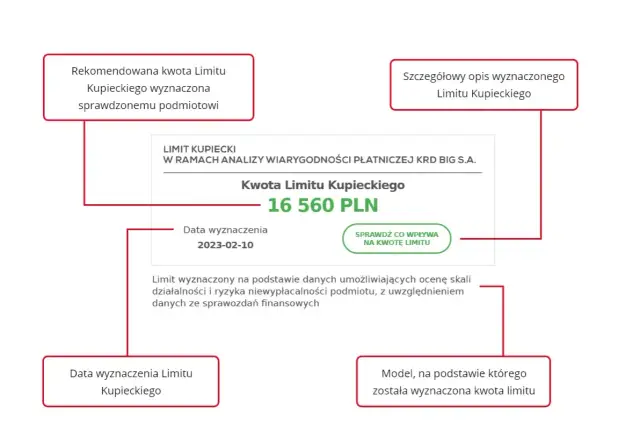 Wartości niematerialne i prawne od jakiej kwoty? Sprawdź limity!