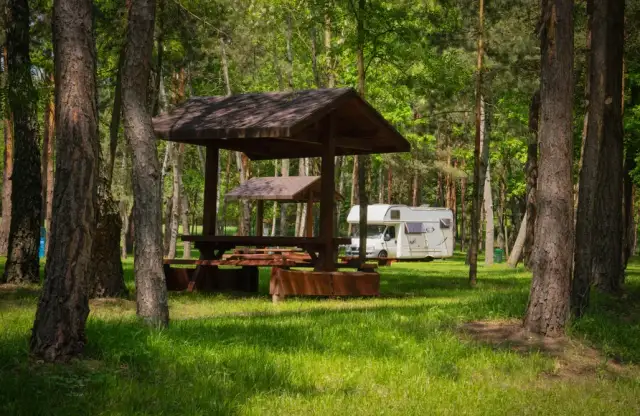 Najlepsze pola namiotowe nad jeziorem w Śląsku – sprawdź oferty i atrakcje