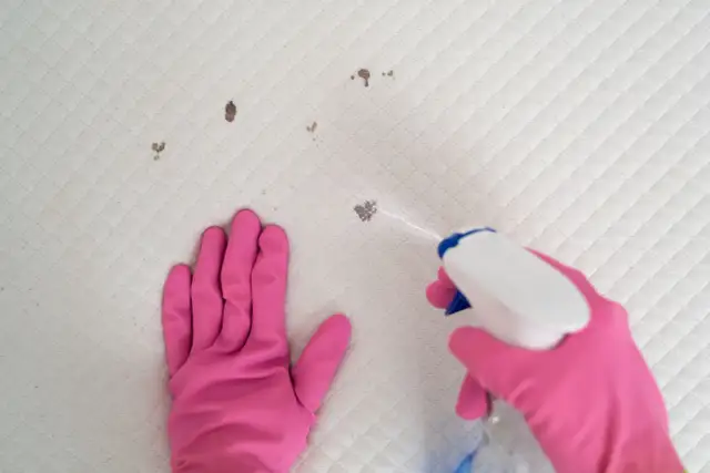 Pleśń na materacu? Pozbądź się jej! Zdrowie i czysty materac.