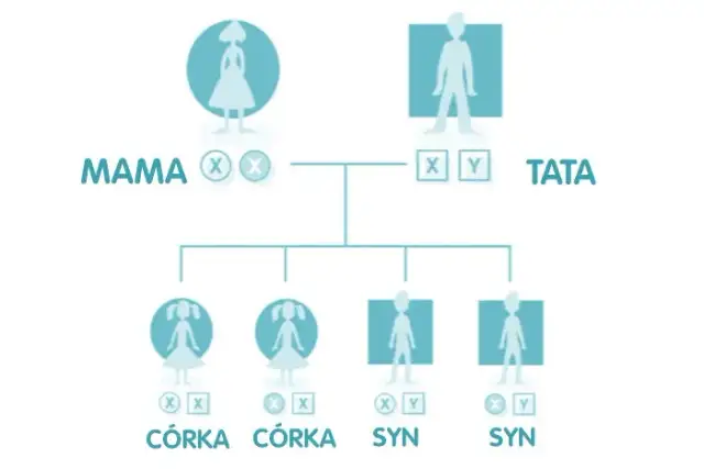 Kiedy dokładnie można poznać płeć dziecka? Sprawdź, co musisz wiedzieć!