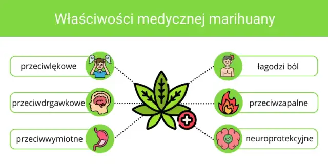 THC: Jak działa, co czujesz i czy medyczna marihuana jest dla Ciebie?