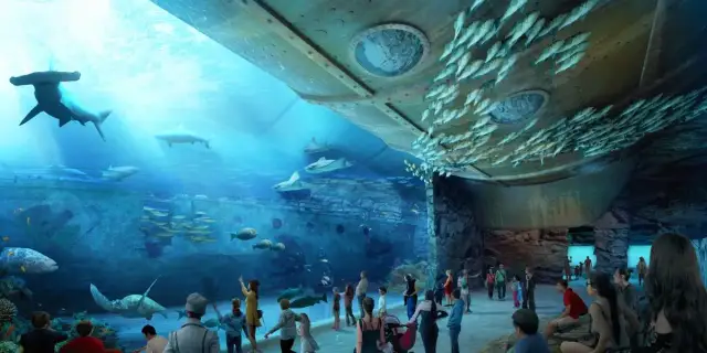 Godziny otwarcia oceanarium w Ustce - nie przegap wizyty!