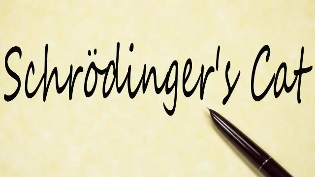 Kot Schrödingera: Żywy czy martwy? Proste wyjaśnienie paradoksu