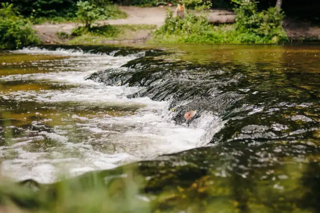 Tomaszów Lubelski: Odkryj Roztocze! Atrakcje i aktywne wycieczki
