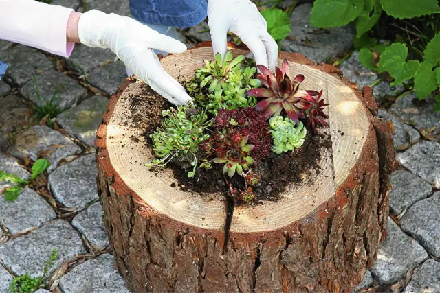 Drewniany kwietnik DIY: Kompletny poradnik krok po kroku