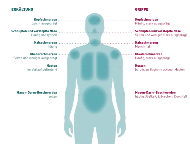 Symptome aktuelle Grippe: So erkennen Sie die gefährlichen Anzeichen