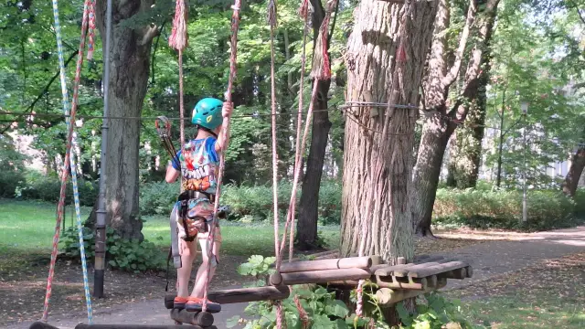 Park Linowy Bluszcz Międzyzdroje: Cennik, Trasy, Godziny. Planuj!