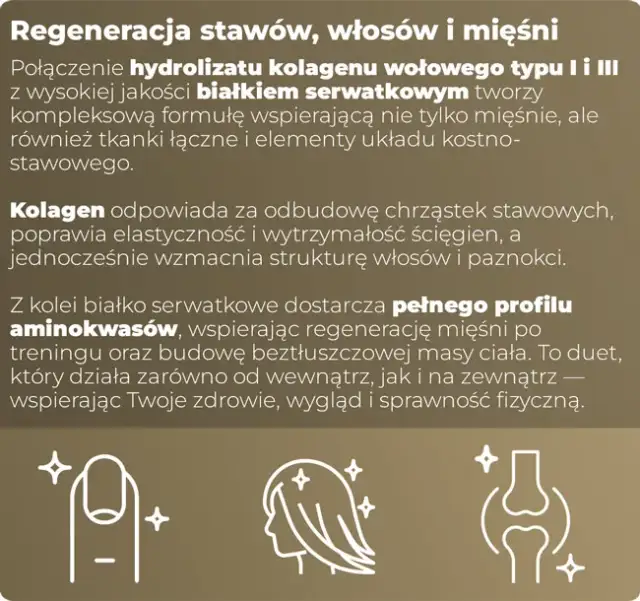 Jakie białko po treningu wspiera regenerację i budowę mięśni