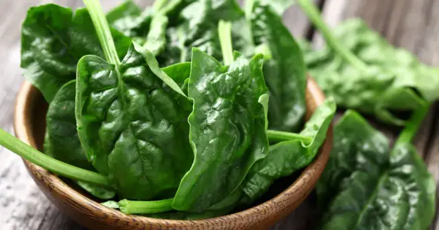 Kiedy jest sezon na szpinak? Odkryj najlepszy czas na świeże warzywa
