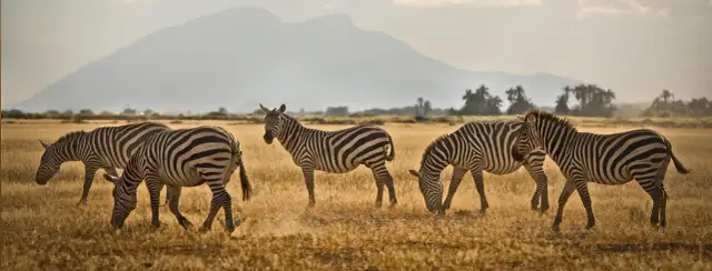 Najpiękniejsze miejsca w Afryce, które musisz zobaczyć w swoim życiu