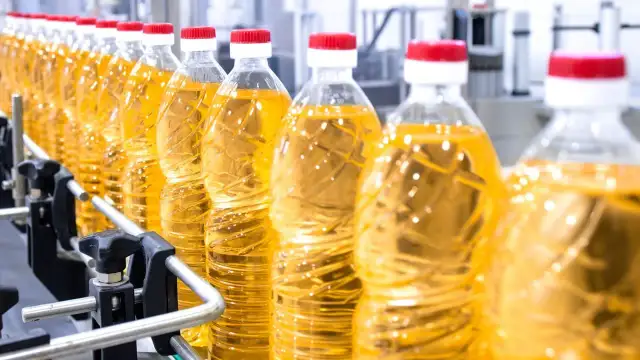 Czy olej roślinny jest zdrowy? Odkryj prawdę o jego wpływie na zdrowie