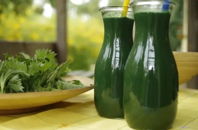 Koktajl z pokrzywą: zdrowe przepisy na pyszne i odżywcze napoje