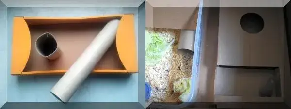 Twórz bezpieczny plac zabaw dla chomika DIY z łatwych materiałów