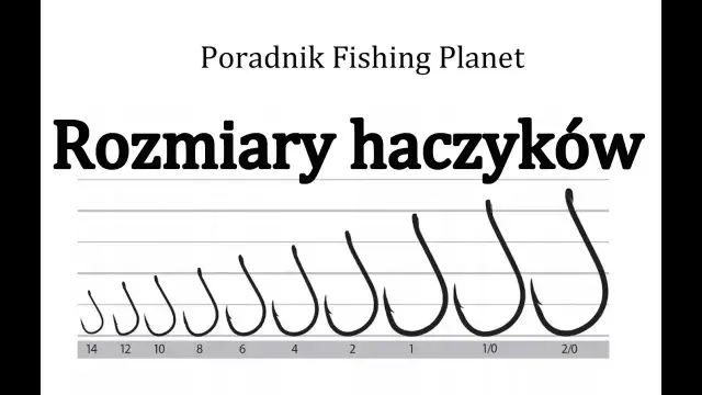 Jaki haczyk na karasia - wybierz najlepszy rozmiar i typ dla sukcesu