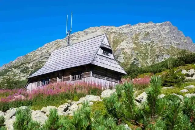 Dolina Pięciu Stawów w maju: praktyczny poradnik przed wiosenną wycieczką