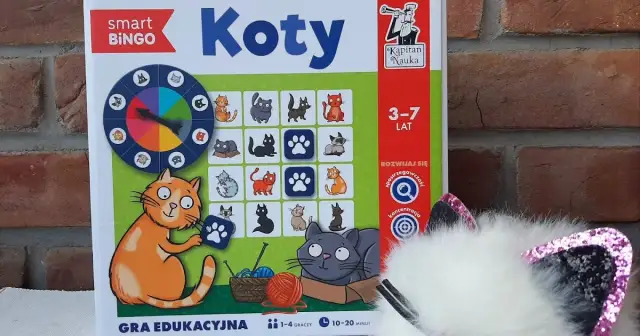 Jak grać w kotki - proste zasady i strategie, aby wygrać