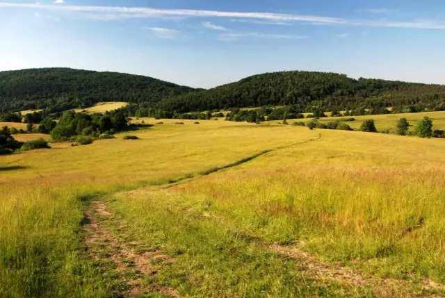 Beskid Niski - najpiękniejsze szlaki. Droga przez złote pola i lasy, zapraszająca do wędrówki.
