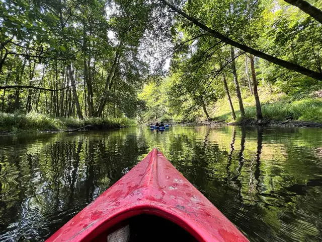 Drawa kajakiem: Jak zaplanować idealny spływ? Trasy, ceny, porady